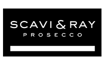 scavi